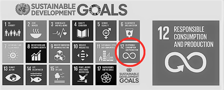 Sustainable_Development_Goals-